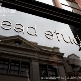 Head Studio 000.jpg