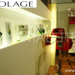 Biolage.   07